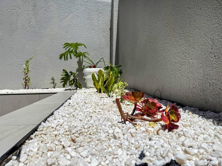 Luxury In Greenpoint Main Rd Apartamento Cidade Do Cabo